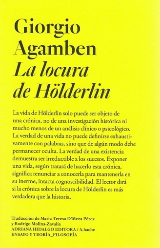 Papel Locura De Holderlin, La