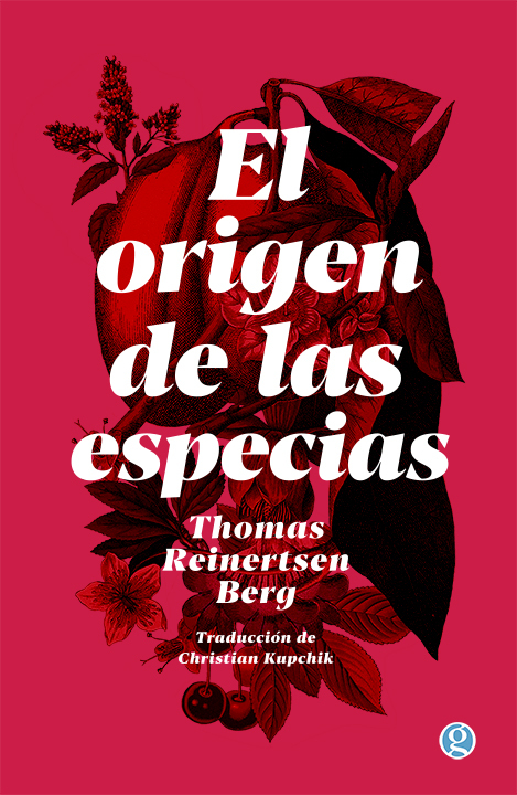 Papel Origen De Las Especias, El