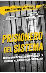 E-book Prisionero del sistema