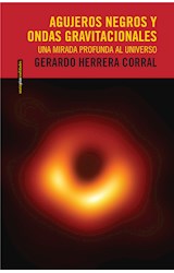 E-book Agujeros negros y ondas gravitacionales