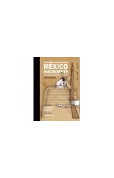 E-book México Insurgente