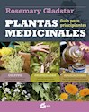 Papel PLANTAS MEDICINALES
