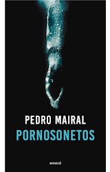 E-book Pornosonetos