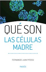 E-book Qué son las células madre