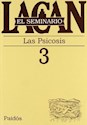 Papel SEMINARIO 03 - LAS PSICOSIS