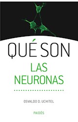 E-book Qué son las neuronas