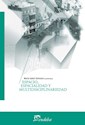 Papel ESPACIO, ESPACIALIDAD Y MULTIDISCIPLINARIEDAD