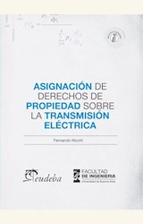 Papel ASIGNACION DE DERECHOS DE PROPIEDAD SOBRE LA TRANSMISION ELECTRICA