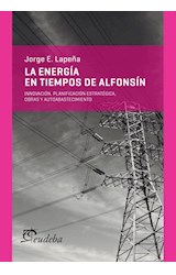 E-book La energía en tiempos de Alfonsín