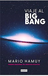 E-book Viaje al Big Bang