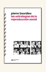 Papel LAS ESTRATEGIAS DE LA REPRODUCCION SOCIAL