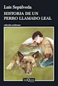 Libro Historia De Un Perro Llamado Leal