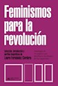 Papel FEMINISMOS PARA LA REVOLUCIÓN