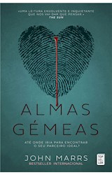 E-book Almas Gémeas