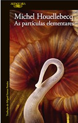 E-book As partículas elementares